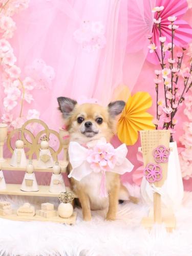 20250308れおくん